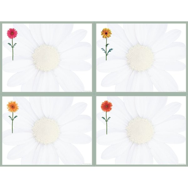 Postcards, Daisies, 4.25
