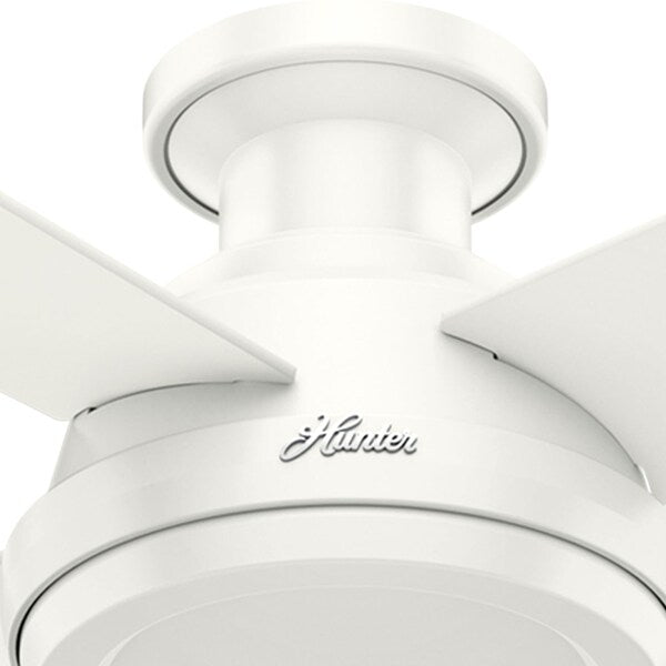 Decorative Ceiling Fan, Low Pro, 52