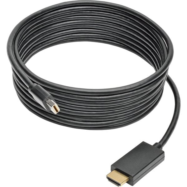 Mini DPort Cable, HD, Adapter, M/M, 6ft