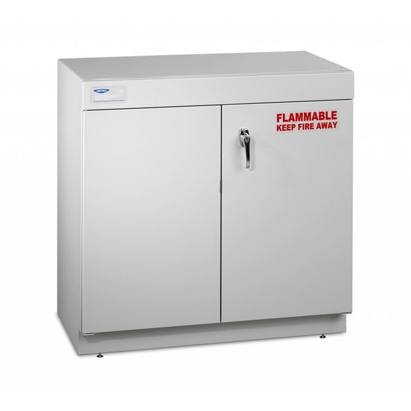 Protector 24In. Ada Solvent Storage Cabi