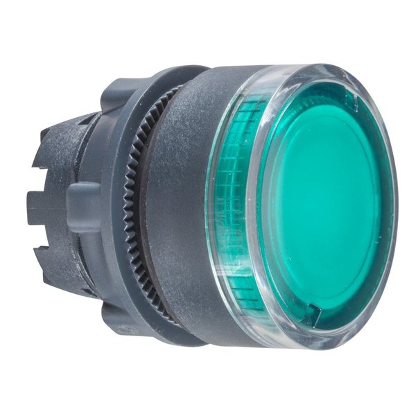 Green flush illuminated pushbutton head