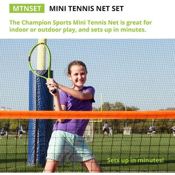 Mini Tennis Net, 10ft Wx3ft H, w/Case