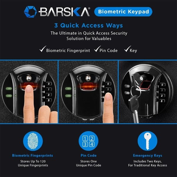 Security Safe, 0.99 cu ft, 25 lb, Biometric Keypad Lock