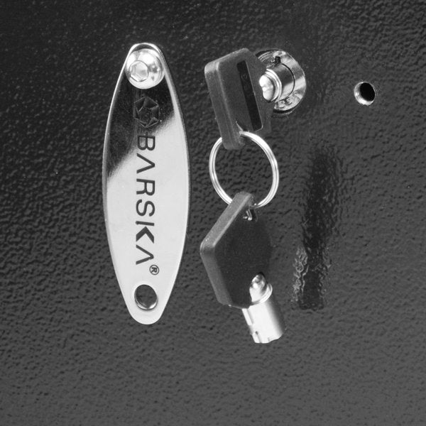 Biometric Wall Safe