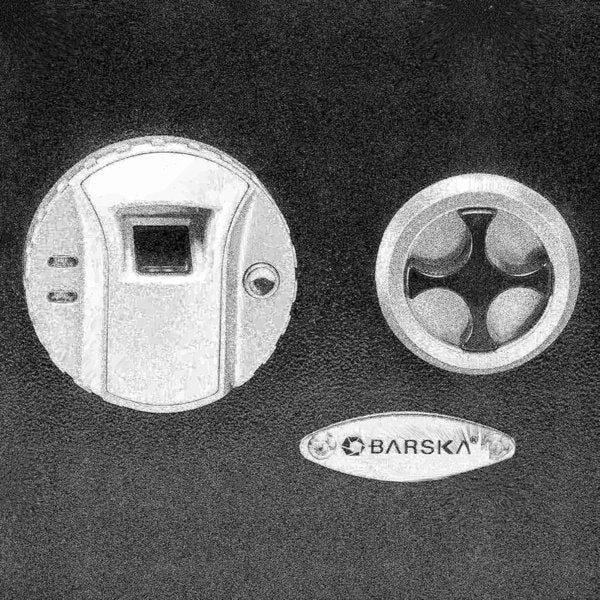 Biometric Wall Safe
