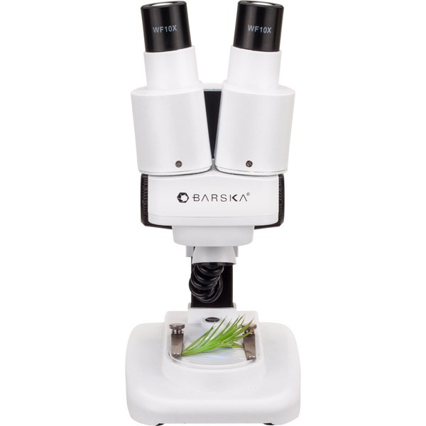 Student Stereo Microscope 20x, 50x