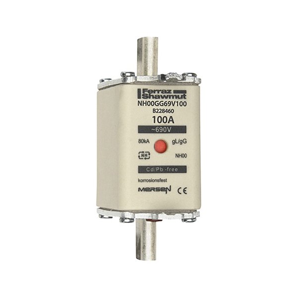 Fuse, gG, 100A