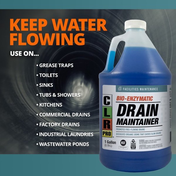 Drain Maintainer, Jug, 1 gal, Liq