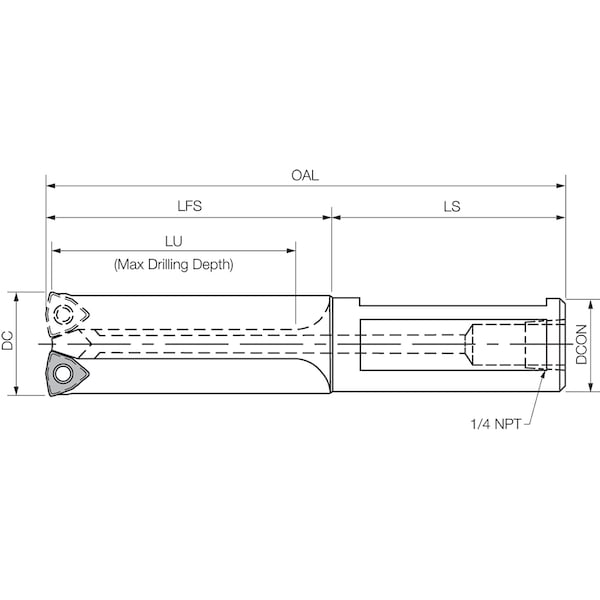 CD1240
