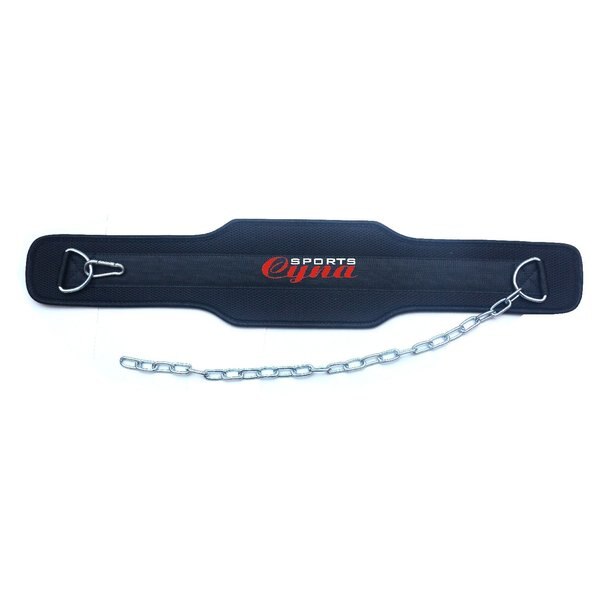 Weight Lifting Dipping Belt with Chains