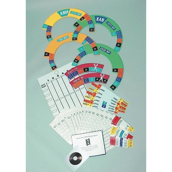 Dna Manipulatives Kit