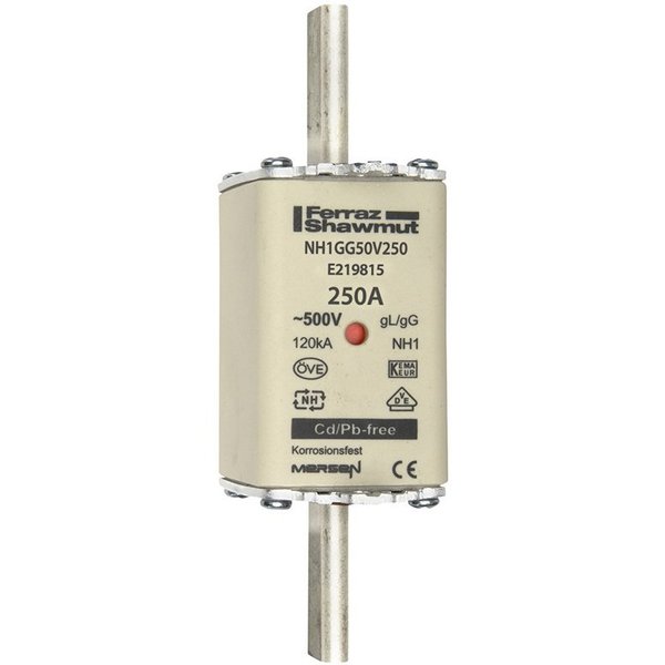 Fuse, 250A, 500V