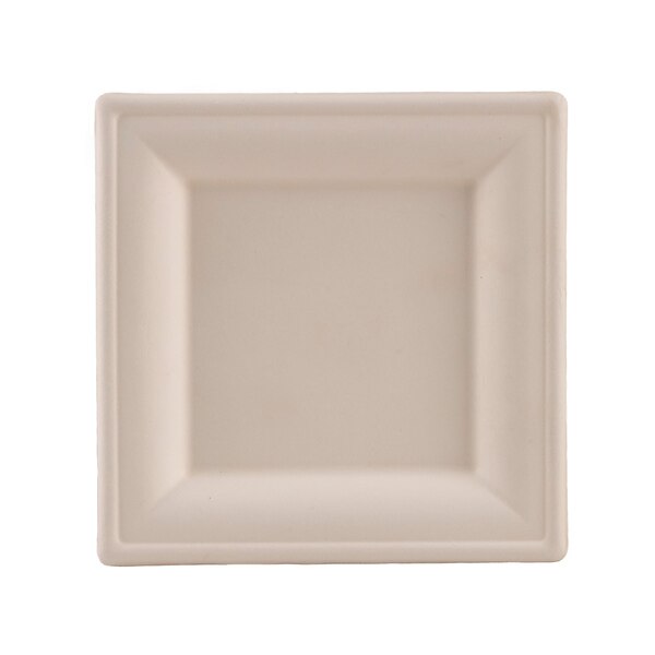 Compostable Square Plate, 10