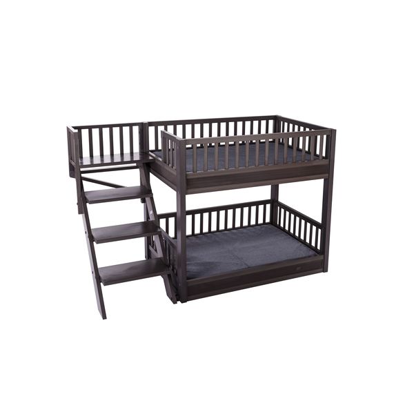 Aspen Bunk Beds for Dogs, w/Removable Cus