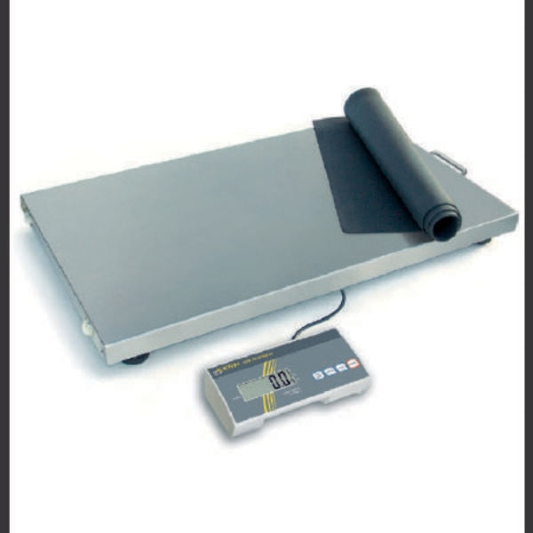 Platform Scale 10 G 300 Kg
