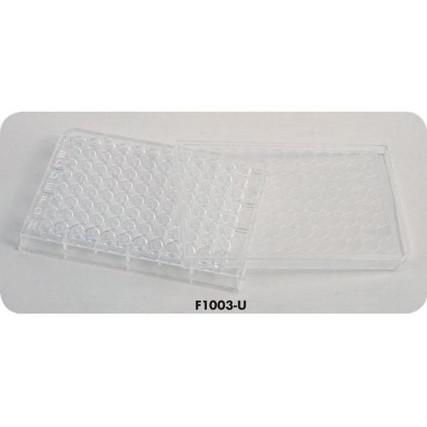 Well Plate, Clear Plastic, 24 Well, PK 10