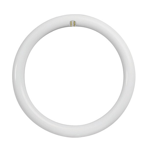 Light bulb, LED, 12in, T9 Circular, PK12