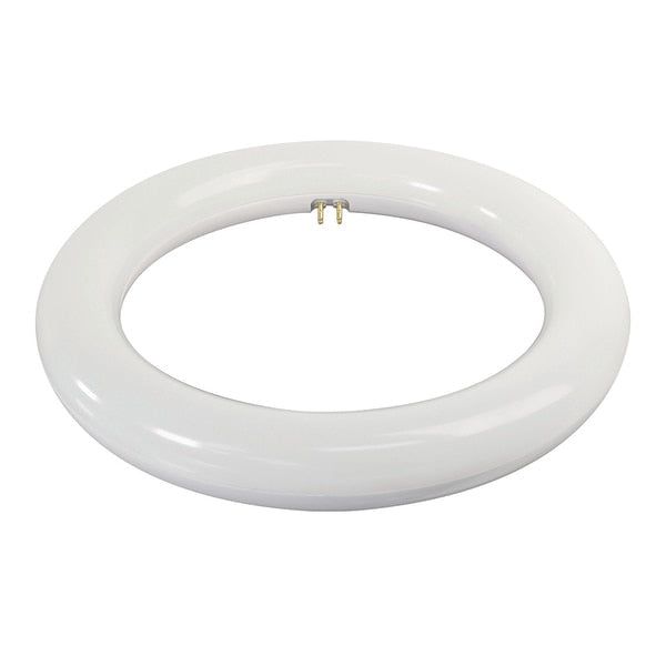 Light Bulb, LED, 8in, T9, Circular, PK12