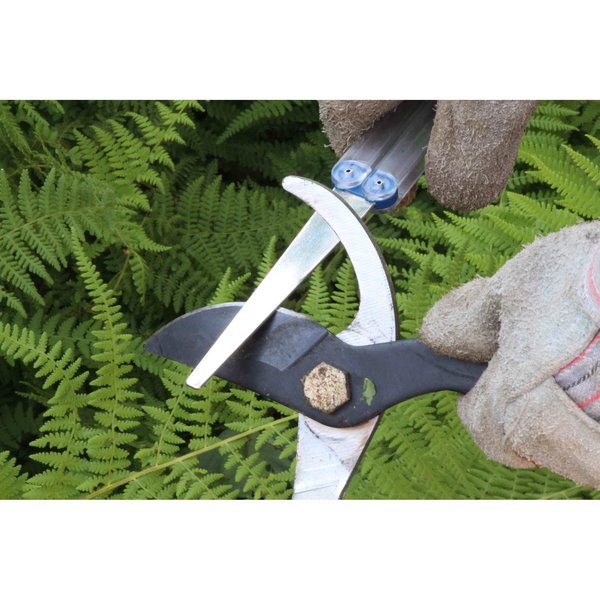 Sharpening File, Flat, Dia, Blue, Coarse