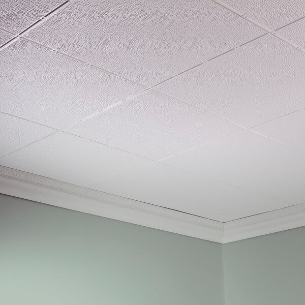 Border Fill 2Ftx4Ft Glue Up Ceiling, PK 5, 5 PK