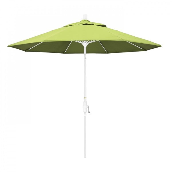 Patio Umbrella, Octagon, 101