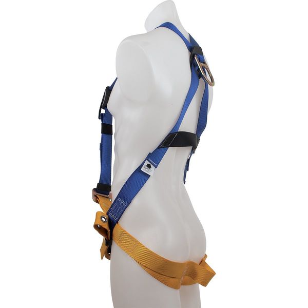 BaseWear Standard Harness, Tongue Buckle