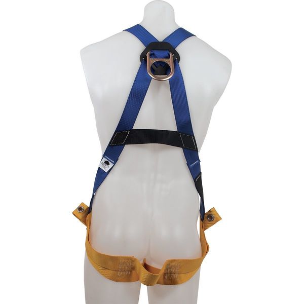 BaseWear Standard Harness, Tongue Buckle