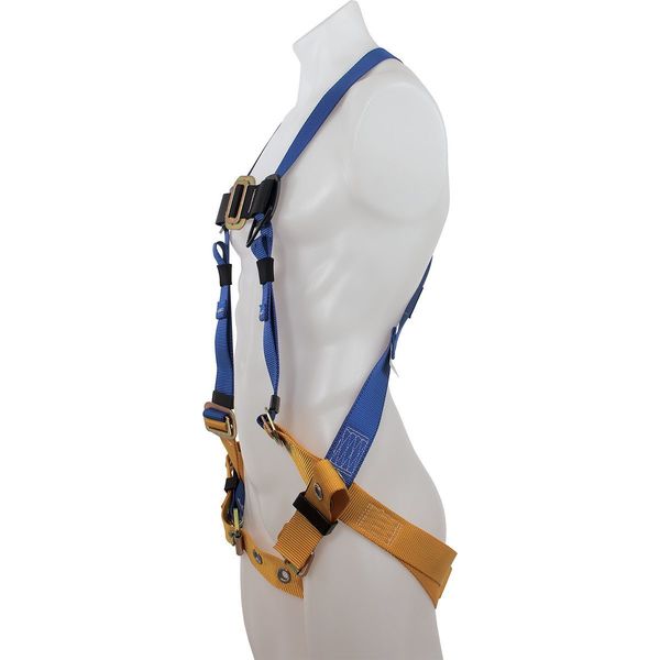 BaseWear Standard Harness, Tongue Buckle