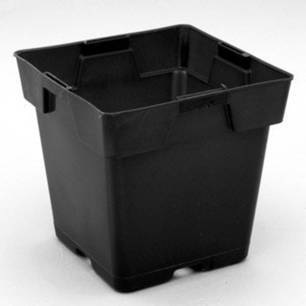 Planter, 5 1/2