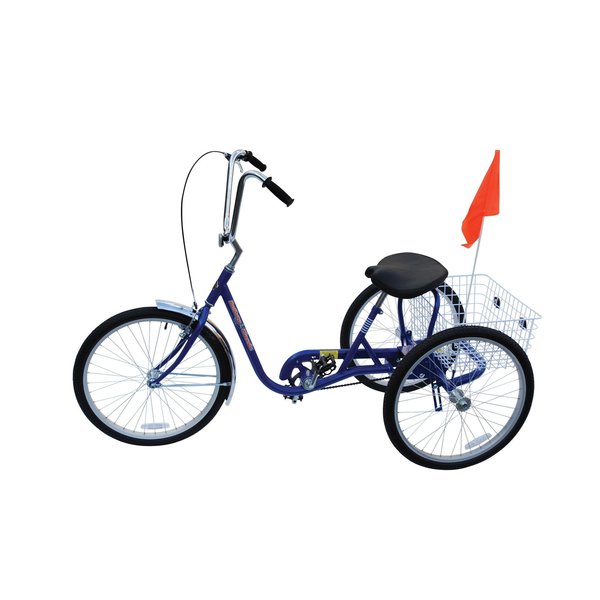 Bicycle, 250 lb Cap., Blue, 24