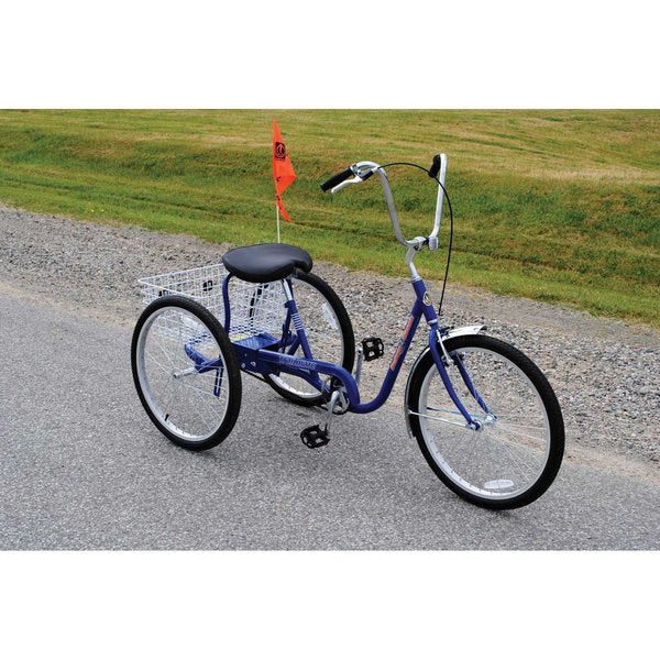 Bicycle, 250 lb Cap., Blue, 24