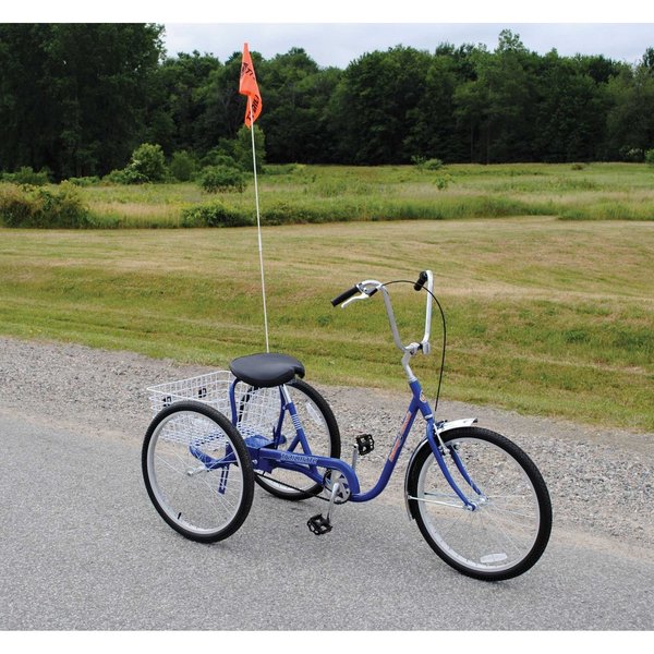 Bicycle, 250 lb Cap., Blue, 24