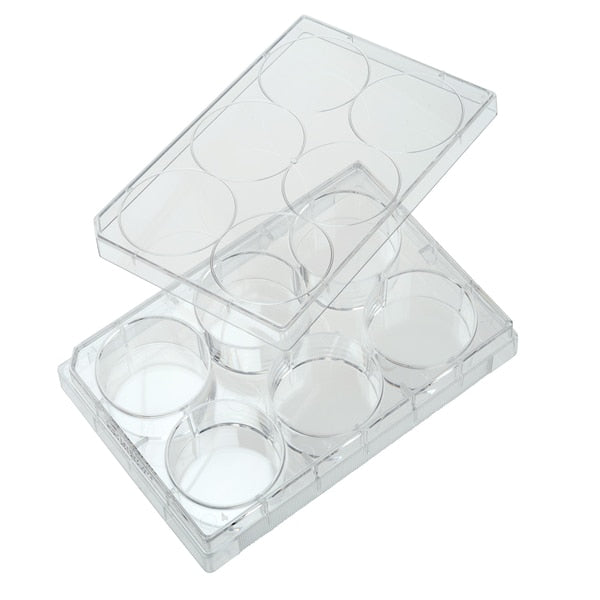 Tissue Culture Plate, Sterile, 6-Well
