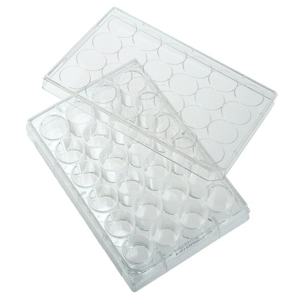 Tissue Culture Plate, Sterile, 24-Well