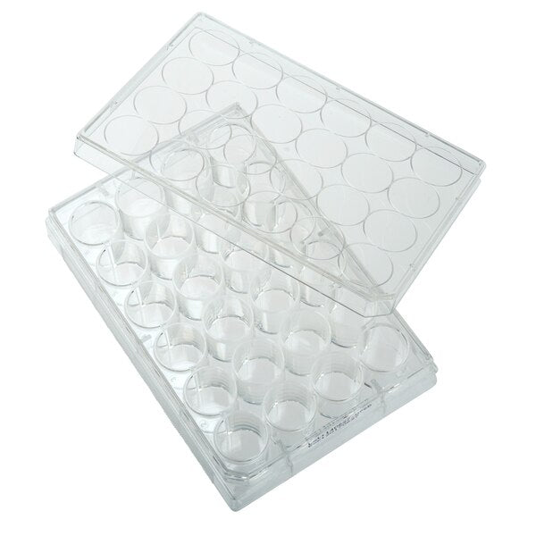 Tissue Culture Plate, Sterile, 24-Well