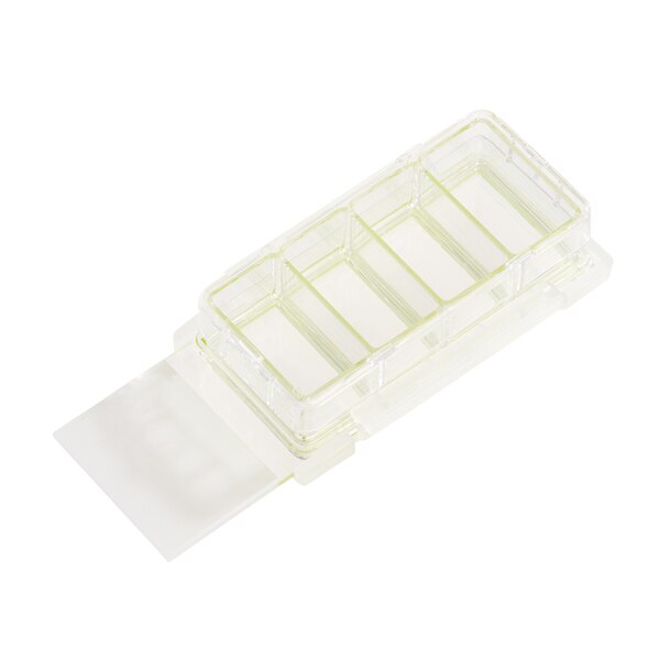 Cell Culture Slide, Sterile, 4-Chamber