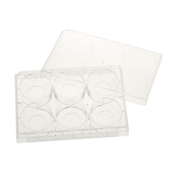 Glass Bottom Tissue Culture Plate, 20mm Glass, Sterile, 6-Well