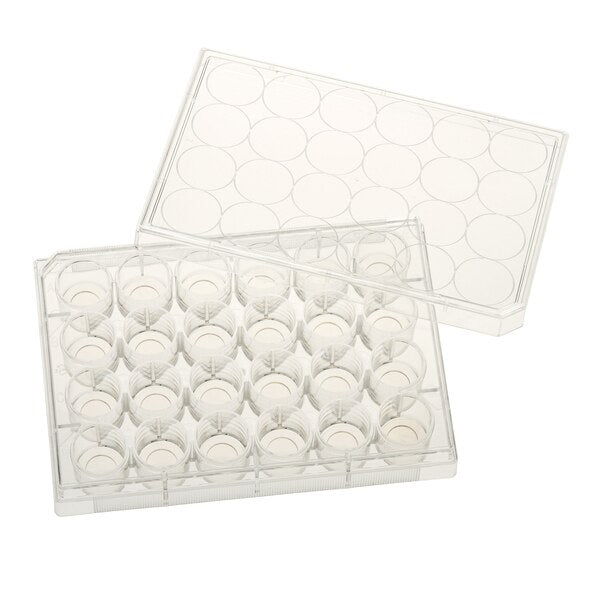 Glass Bottom Tissue Culture Plate, 10mm Glass, Sterile, 24-Well