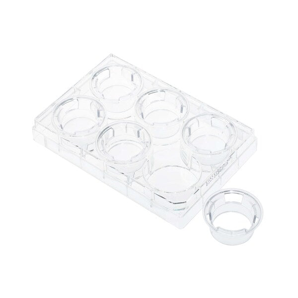 Permeable Cell Culture Inserts, 6-Well, Hanging, PET, 8.0um, Sterile