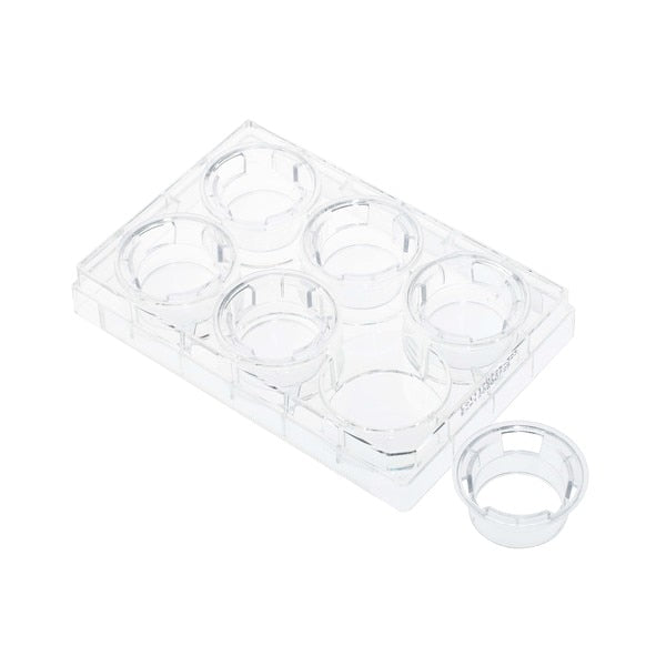 Permeable Cell Culture Inserts, 6-Well, Hanging, PET, 0.4um, Sterile