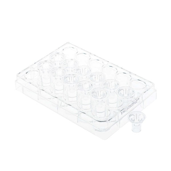 Permeable Cell Culture Inserts, 24-Well, Hanging, PC, 8.0um, Sterile