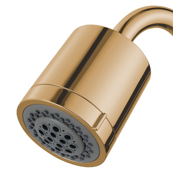 Shower Head, Polished Brass, Wall Mount