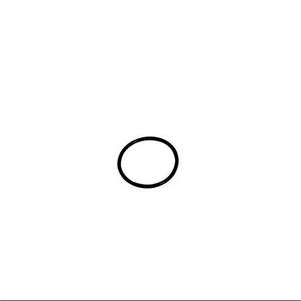 Large O Ring
