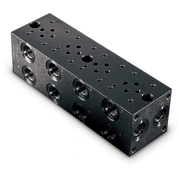Manifold