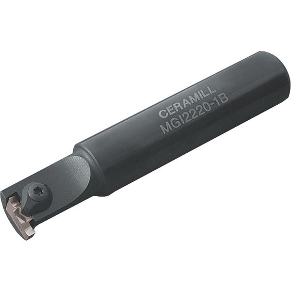 MGI 22201B
