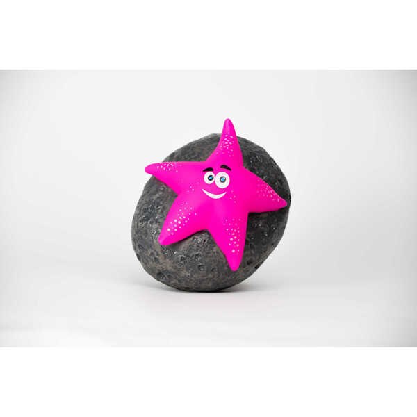 Starfish Character Chlorinator Pink
