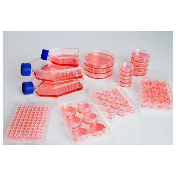 Nunclon Sphera T25 Cell Culture Fl, PK 18
