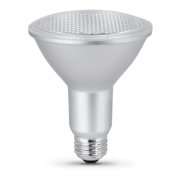 Light bulb, LED, PAR30L, 750 lmns, PK24