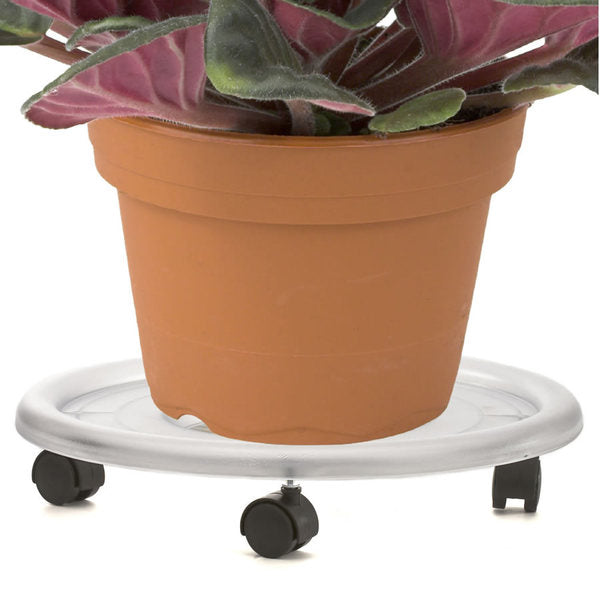Plant Caddy, Clear, 16