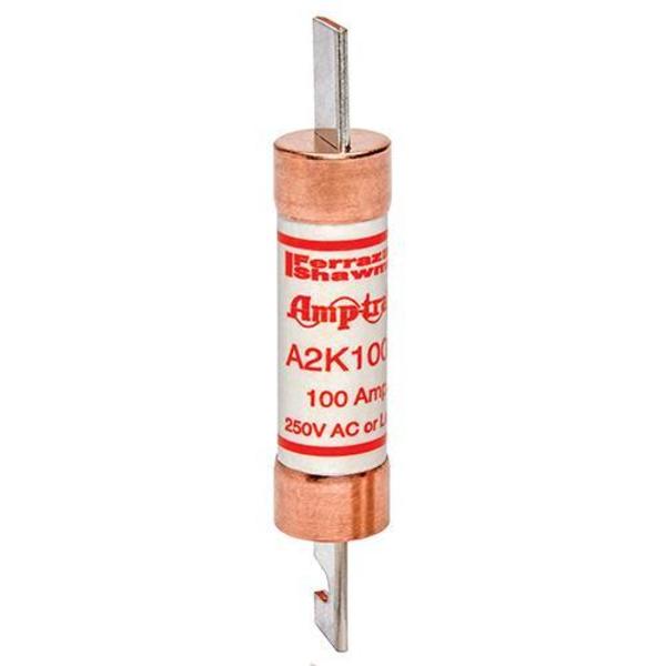 Fuse, Fast Acting, 100A